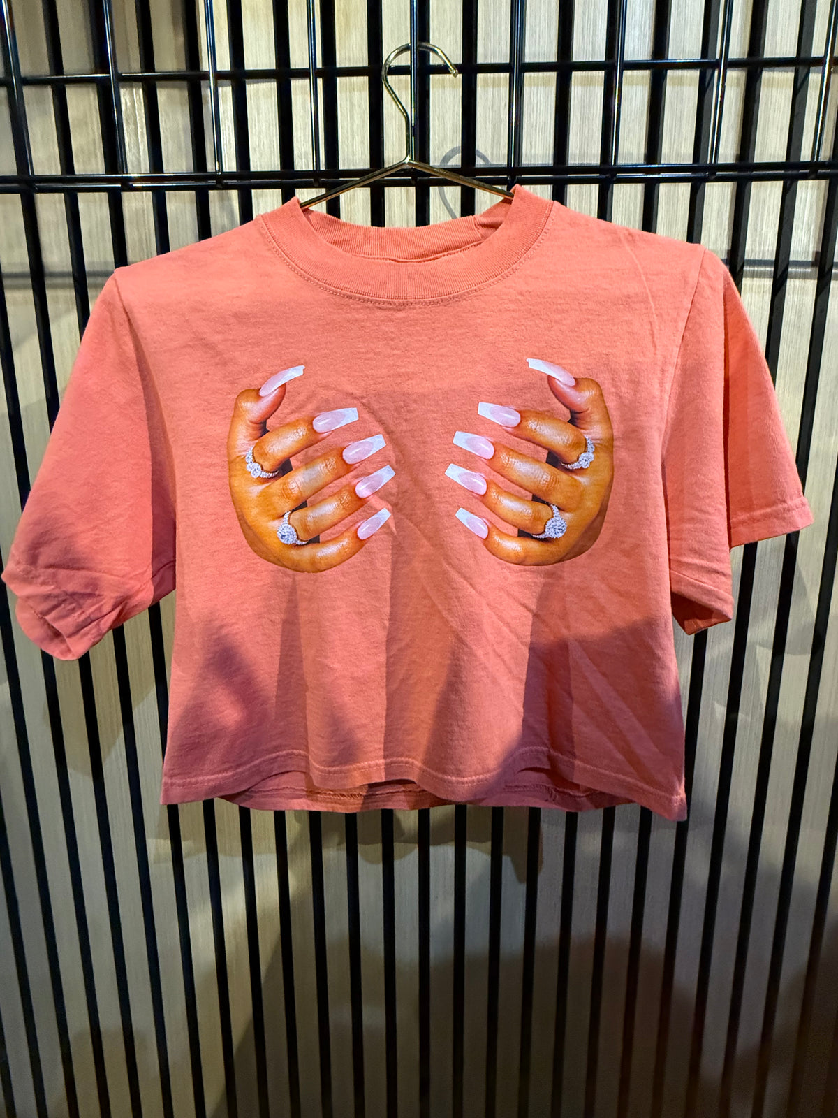 DONT LET GO CROP TOP (PEACH)