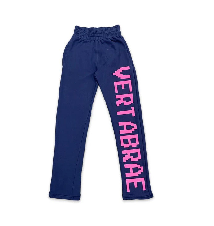 VERTABRAE : NAVY BLUE/ PINK JOGGERS