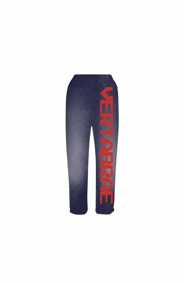 VERTABRAE : NAVY BLUE/RED JOGGERS