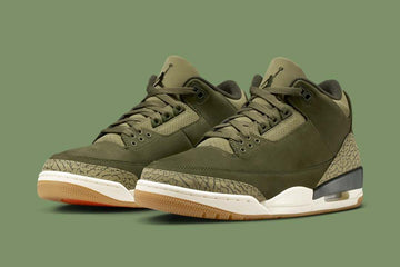 Air Jordan Retro 3: Family Affair
